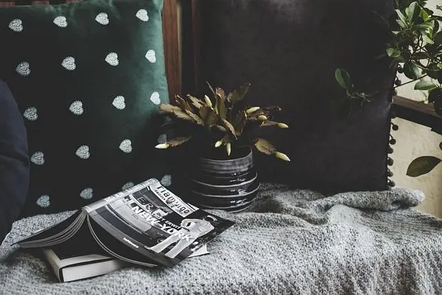 Cosy